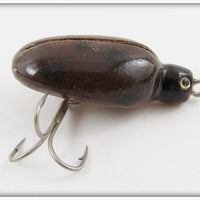 Robert Morgan Brown Ladybug Beetle