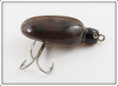 Robert Morgan Brown Ladybug Beetle