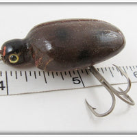 Robert Morgan Brown Ladybug Beetle