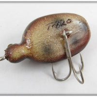 Robert Morgan Brown Ladybug Beetle