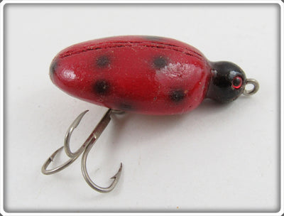 Robert Morgan Red Ladybug Beetle