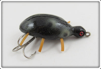 Robert Morgan Black Ladybug Beetle