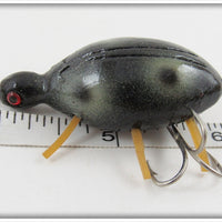 Robert Morgan Black Ladybug Beetle
