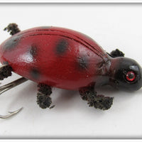 Robert Morgan Red Ladybug Beetle