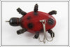 Robert Morgan Red Ladybug Beetle