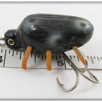 Robert Morgan Black Ladybug Beetle