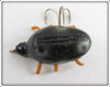 Robert Morgan Black Ladybug Beetle