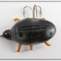 Robert Morgan Black Ladybug Beetle