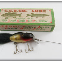 Creek Chub Perch Dinger In Correct Box 5601