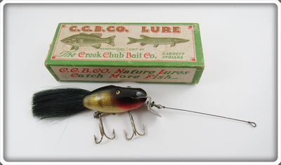 Creek Chub Perch Dinger In Correct Box 5601