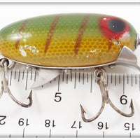 Clark's Perch Scale Dent Eye Water Scout