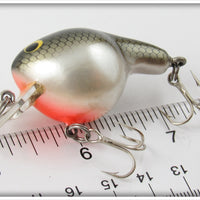 Bagley Tennessee Shad Fat Cat