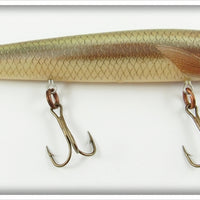 Vintage Rebel Naturalized Striper Floater Lure 