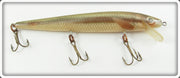 Vintage Rebel Naturalized Striper Floater Lure 