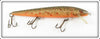 Vintage Rebel Naturalized Trout Floater Lure 