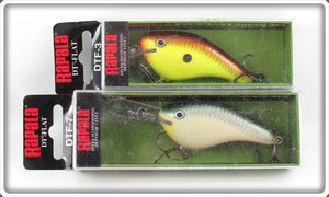 Rapala Blue Back Herring & Hot Mustard DT-Flat Pair In Boxes