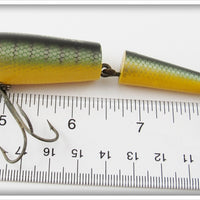 Arbogast Perch Hula Hoople