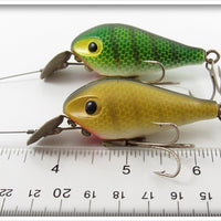 P&K Green Scale & Gold Scale Amazin Maizie Pair