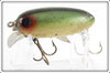 Clark's Green Scale Dent Eye Water Scout