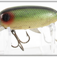 Clark's Green Scale Dent Eye Water Scout