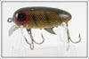 Clark's Perch Scale Dent Eye Water Scout