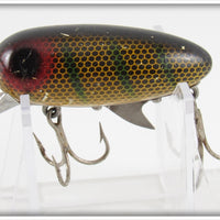 Clark's Perch Scale Dent Eye Water Scout