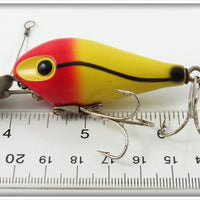 P&K Yellow Spot Tail Amazin Maizie