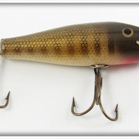 Creek Chub Pikie Scale Midget Darter