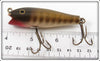 Creek Chub Pikie Scale Midget Darter