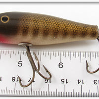 Creek Chub Pikie Scale Midget Darter