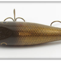 Creek Chub Pikie Scale Midget Darter