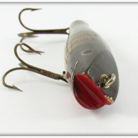 Creek Chub Pikie Scale Midget Darter