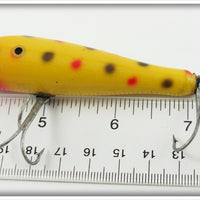 Creek Chub Yellow Spotted Midget Darter