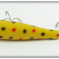 Creek Chub Yellow Spotted Midget Darter