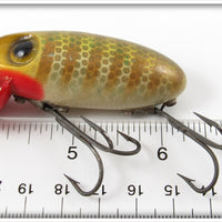 Wright & McGill Gold Scale Bug A Boo