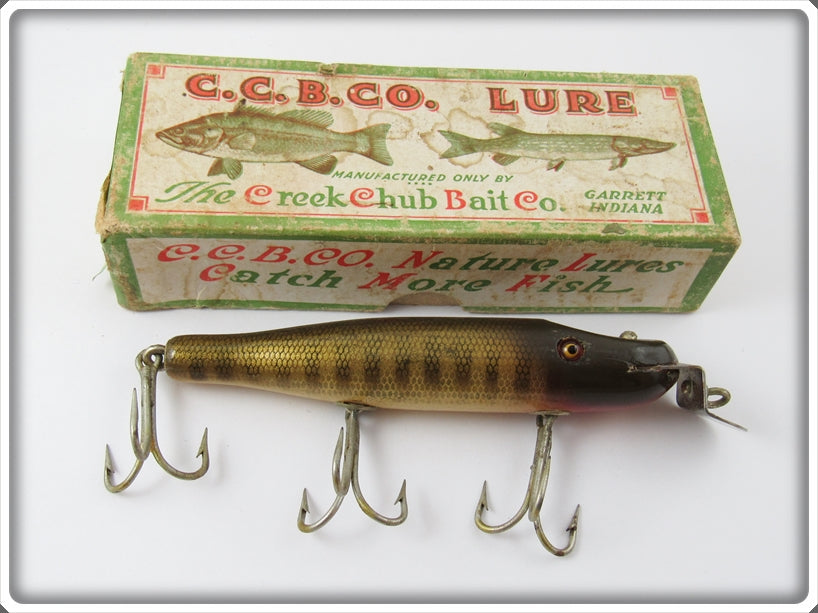 Vintage Creek Chub Pikie Scale Pikie Lure In Correct Box 700