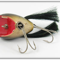 Creek Chub Frog Surface Dingbat