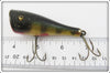 Creek Chub Perch Plunker