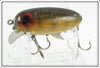 Clark's Pike Scale Dent Eye Water Scout