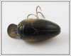 Millsite Gold Scale Black Spots Rattle Bug