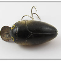Millsite Gold Scale Black Spots Rattle Bug