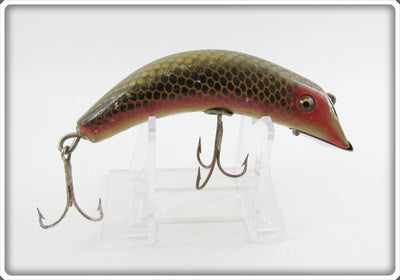 South Bend Minnow Scale Finish Teas Oreno