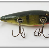 Creek Chub Perch Injured Minnow