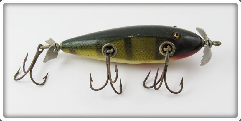 Creek Chub Perch Injured Minnow