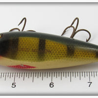 Creek Chub Perch Injured Minnow