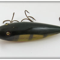 Creek Chub Perch Injured Minnow