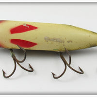 Creek Chub Perch Injured Minnow