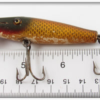 Creek Chub Golden Shiner Midget Pikie