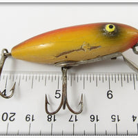 Paw Paw Rainbow Runt Type