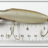 Paw Paw Silver Scale Runt Type